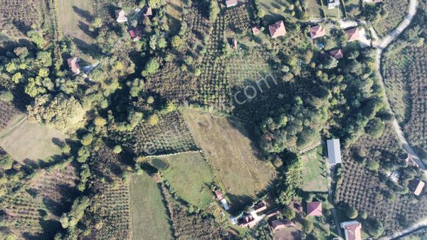 Remax Palas'tan Düzce Merkez Güven Köyü Satılık Arsa