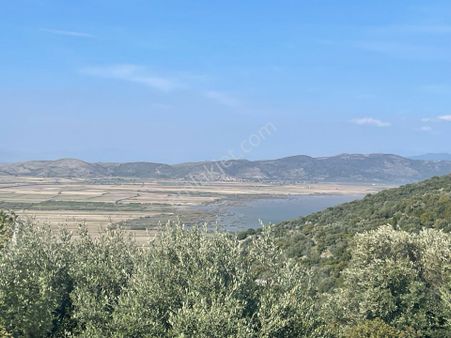 Didim Bozsekide Satılık Arsa İkisi De Köşe 831m2 Villa İmarlı