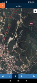 Satılık Kelepir Zeytinlik