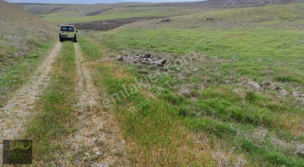 Ankara Güdül Yola Cephe Hayvancılğa Uygu Satılık Araç Takas Arsa