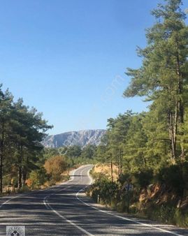 Sarnıç'ta Doğa İle İç İçe 5 Dönüm Tarla