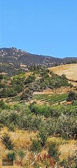 Eren Emlak'tan Isparta Eğirdir Yılgıncak Ta 1.312m² Bahçe