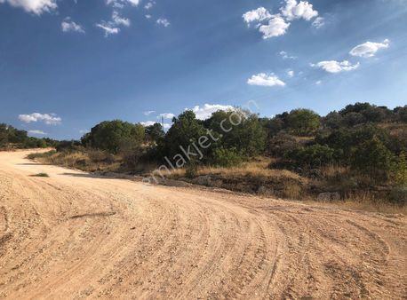 Anadolu'dan Kabasakız Köyü Yola Cepheli Arazi