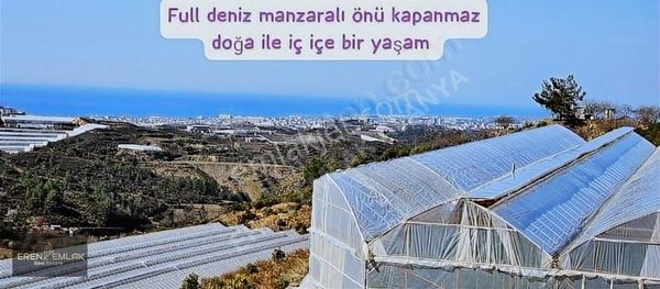 Eren Emlak'tan Alanya'da Full Deniz Manzaralı Takaslı Tarla