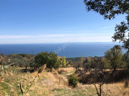 Şarköy De Işık Emlaktan Yukarıkalamış Mah De 644 M2 0/35 İmarlı Arsa