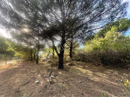 Elagöz Gayrimenkulden Satılık Bağ