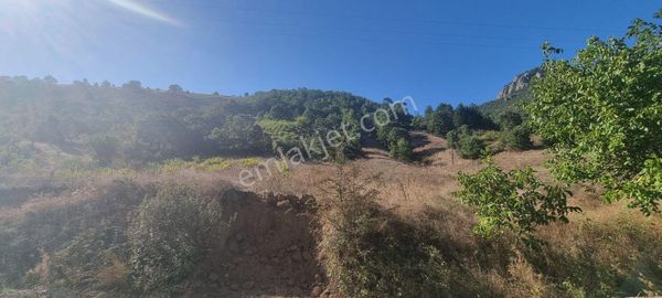 Balıkesir Bigadiç Çıtak Köyüne Yakın Asfalt Yanında Bağ Nitelikli 1 Dönüm