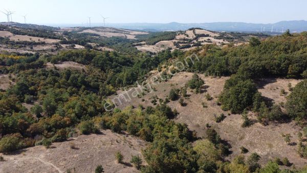 Çanakkale Bayramiç Korucak Kazdağlarında Satılık 7.200m2 Tarla
