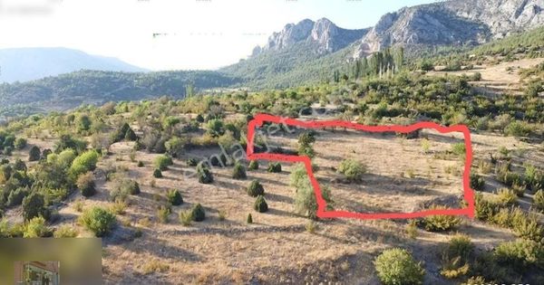 Köye Yakın Yolu Suyu Olan Yatırımlık Yerimiz