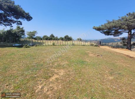 Akman'dan Havran Kocaseyit'te 10 Dönüm Doğa Manzaralı Tarla