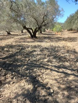 Az Nakitle Yatırım Fırsatı