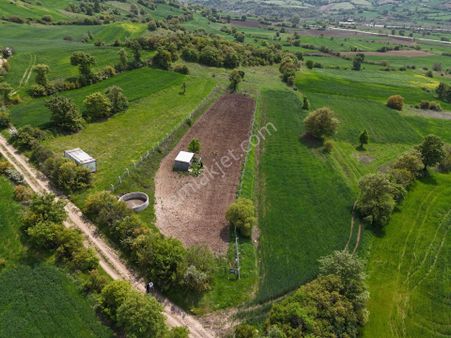 Rookz Balşehir'den Altıeylül Akçaköy De Satılık Tarla