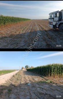 Altınekin Oguzelinde Satılık Tarla