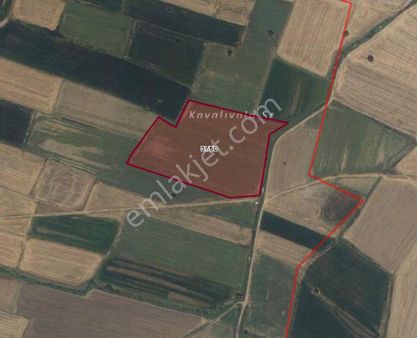 Kırklareli Merkez Dolhan Köyü Kanal Boyu 21.186 M2 Sulak Arazi