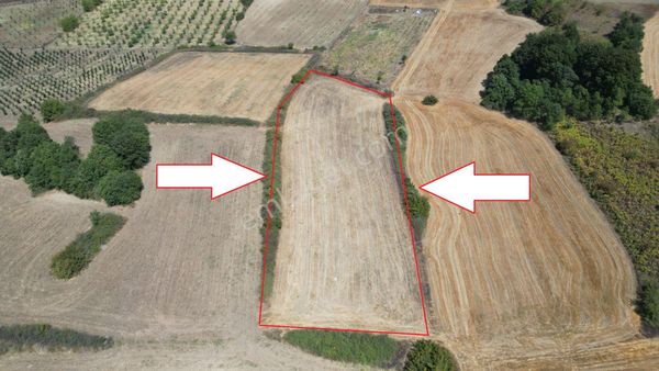 Kocaeli Karamürsel Yalakdere Satılık 7920 M2 Tarla