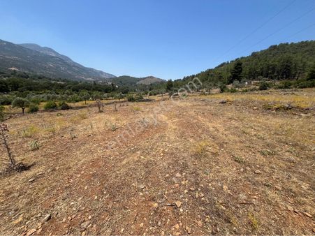 Stop’tan “kapı No Ve Yolu Olan” 2274m² Müstakil Parsel