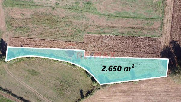 Remax Mavi-karaderede Kaynarcayoluyakını Düşükbütçeliyatırımlık