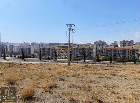 Cm Emlak Merkez Efendibey 455 M2 Mükemmel Yer Yatırımlık Arsalar