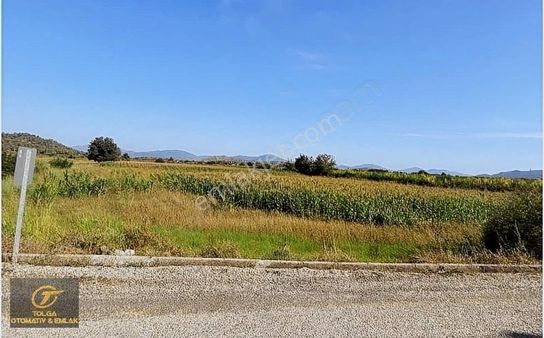 Yeşilyurt Mah. Satılık 10.000 M2 Müstakil Parsel Tarla