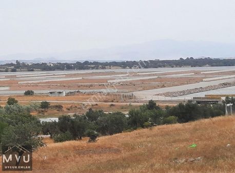 Çaltılıdere Yat Limanı Sınırında