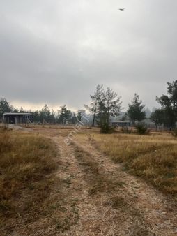 Torbalı Dirmil'de Köye Yakın, 4000 M² Arazi