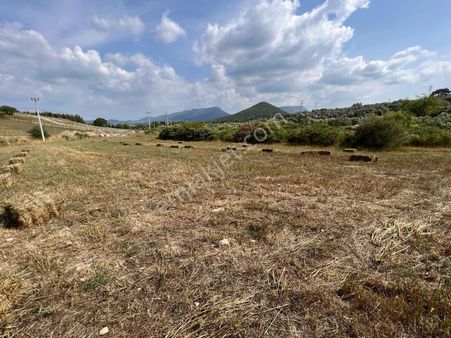 "gümüldür Asfaltı Üzeri 836 M² Satılık Mülk – Kaçırılmayacak Fırsat"