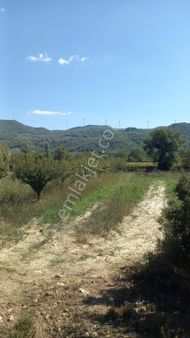 Selçuk Gökçealan Mevkiinde Satılık Arsa