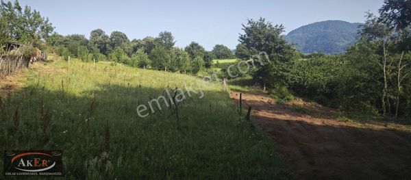 Aker Emlak Tan Kuzulukta 804 M2 Düz Manzaralı Arazi