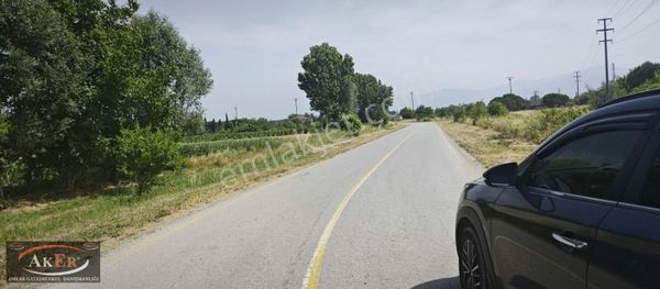 Aker Emlak Tan 3800 M2 Uzunçınar Köy Girişinde Harika Konum