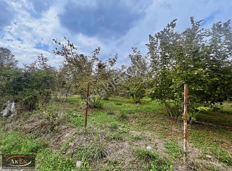 Kuzuluk Fabrika Mahallesinde 3700m2 Sanayi İmarlı Arsa