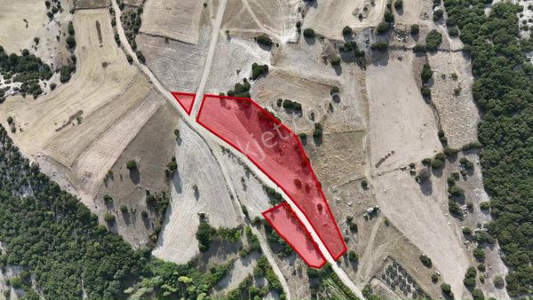 Uşak Merkez Ulucakta Yola Cephe Satılık 5490 M2 Tarla