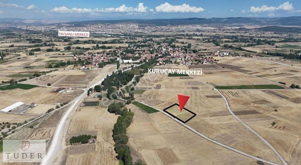 Tavşanlı Merkez E 5dk Mesafede Yola Cephe Fırsat Tarla