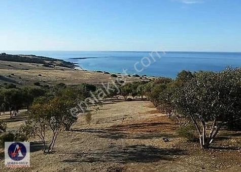 Kalabakta Köşe Parsel 2 Villalık Kupon Arsa