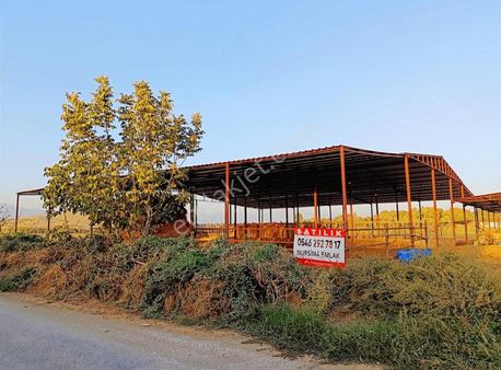 Nursima Emlak'tan Satılık Asfalta Sıfır Çiftlik