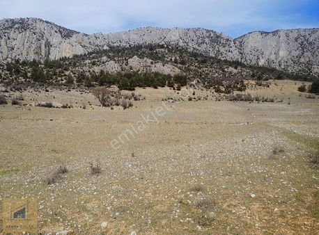 Bilecik Söğüt Tuzaklı Köye Yakın Tarla