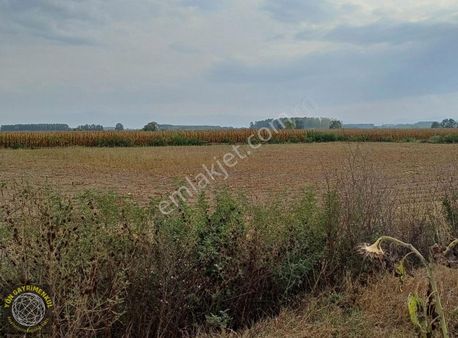 Yön Gayrımenkul Den Yatırımlık Tarla