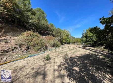 Havran Çakırdere'de Satılık Suyu Olan Asfalta Sıfır Bahçe