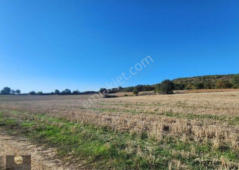 Edirne Hamzabeyli Sınır Kapısında Satılık Tarla(4)
