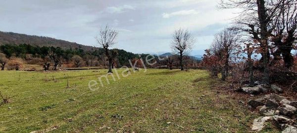 Çanakkale'de Satılık Arsa 26,800 M2 Yenice (ballıçay Mevki)