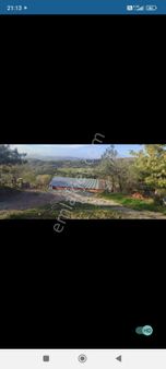 Bayramiç Korucak Köyünde Satılık Çiftlik