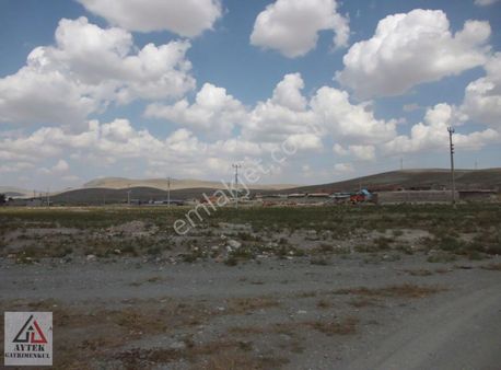 Afyon Sultandağı Yenikarabag Ada 0 2241 913 M2 Arsa.