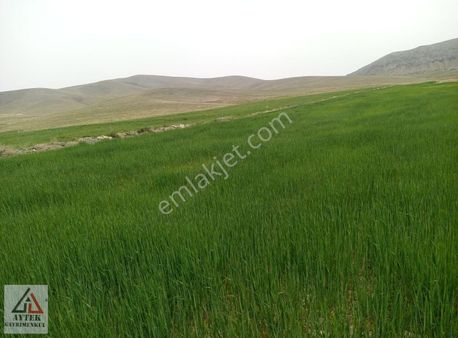 Afyon Sultandağı Cukurcak Köyünde Kelepir 10200 M2 Arsa