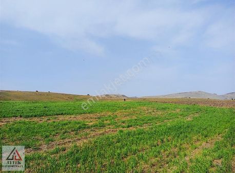 Afyonkarahisar Sandıklı Karadirek Te 8800 M2 Tarla.