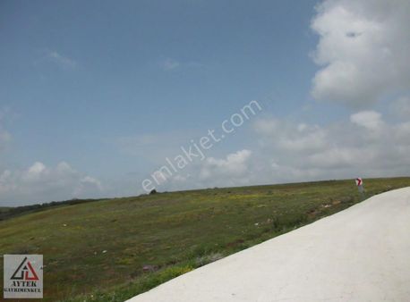 Bilecik Söğüt Yeşilyur,ta Asfaltına Cepe 4200 M2 Arsa.