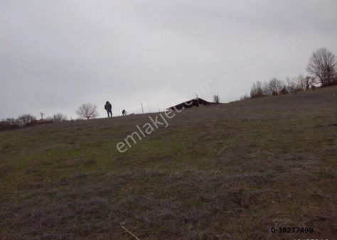 Bilecik Gölpazarı Sarıhacılar Köyünde Satılık 3500 M2 Köy Yanı Tarla
