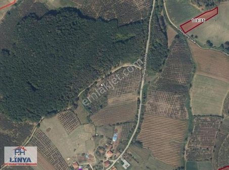 Sakarya Ferizli Hocaoğlu Satılık Arazi Yol Cepheli