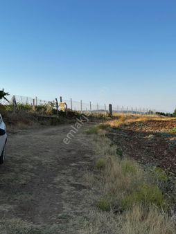 [a.cihangiroğlu]ekrüz’de Yetişmiş Bahçe Ve Evi