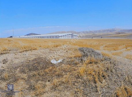 Kalecik'de Tek Tapu Tarla