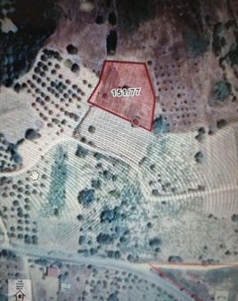 Şarköy Tepeköy Köye Yakın Yola Yakın Ana Caddeye 60 M Mesafede