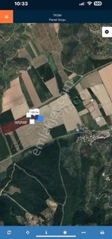 Pek Emlaktan Tirenin En Verimli Ve Sulu Bolgesinde Satılık Tarla